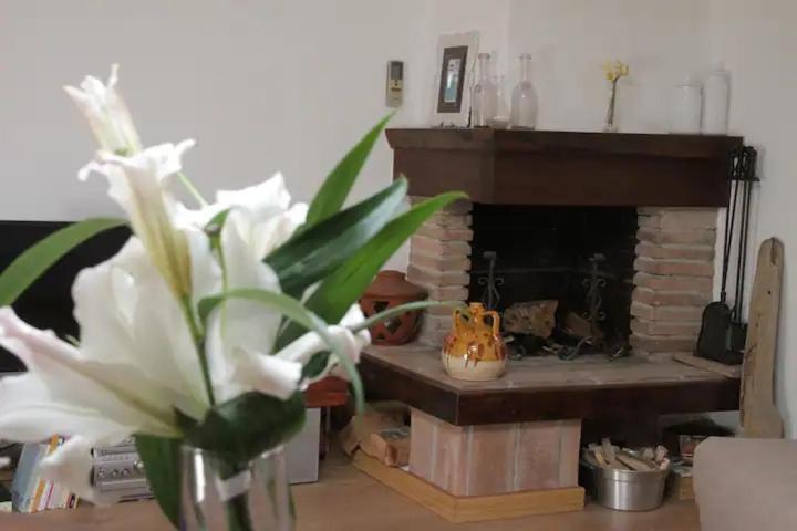 Apartament Accogliente Mansarda Nel Cuore Dell Antica Livorno Zewnętrze zdjęcie